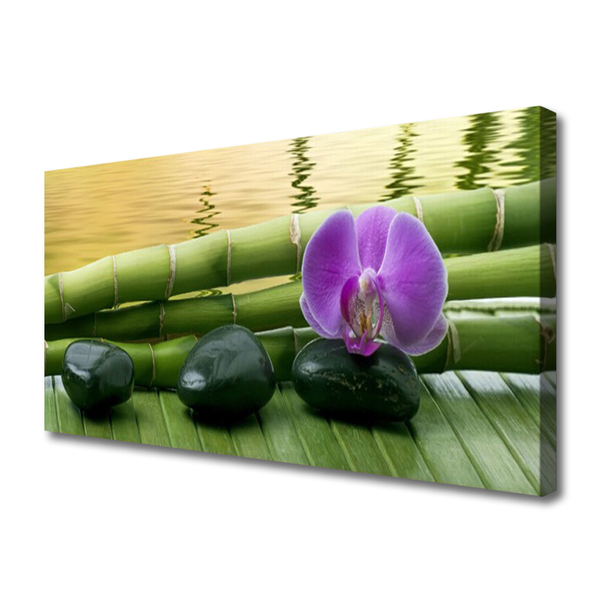 Obraz na plátne Kvet kamene bambus príroda