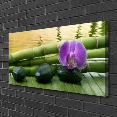 Obraz na plátne Kvet kamene bambus príroda