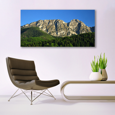 Obraz na plátne Hora les príroda
