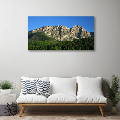 Obraz na plátne Hora les príroda