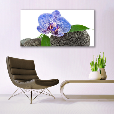 Obraz na plátne Kvet rastlina príroda