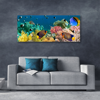 Obraz na plátne Koralový útes príroda