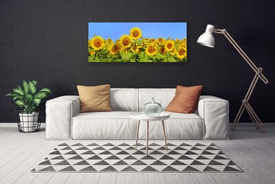 Obraz na plátne Slnečnica kvet rastlina