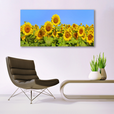 Obraz na plátne Slnečnica kvet rastlina