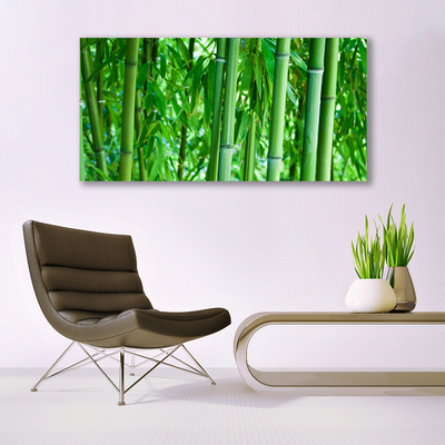 Obraz na plátne Bambus stonka rastlina
