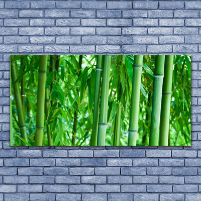 Obraz na plátne Bambus stonka rastlina