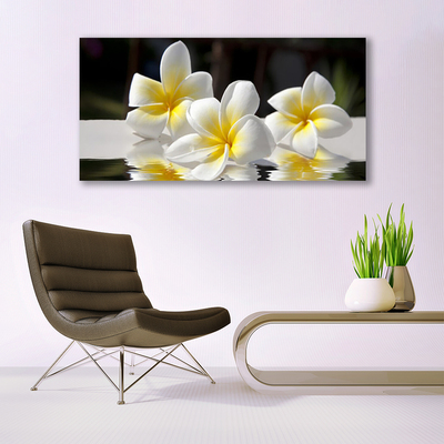 Obraz na plátne Kvety rastlina príroda