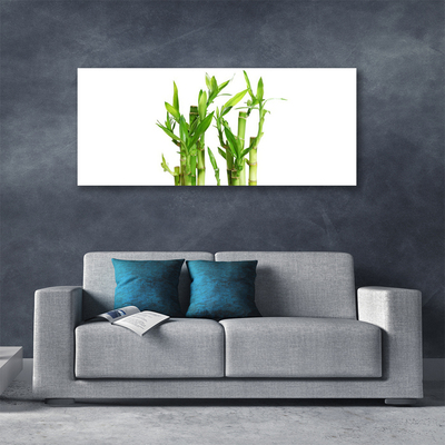 Obraz na plátne Bambus stonka kvet rastlina