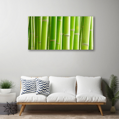 Obraz na plátne Bambus stonka kvet rastlina