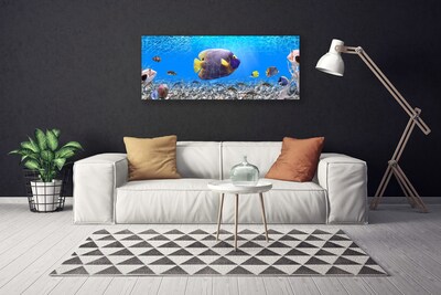 Obraz na plátne Ryba príroda