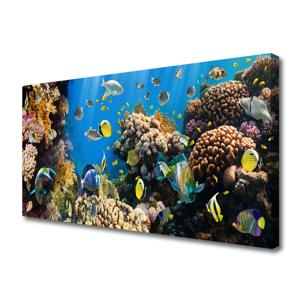 Obraz na plátne Koralový útes príroda