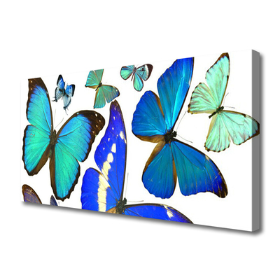Obraz na plátne Motýle príroda