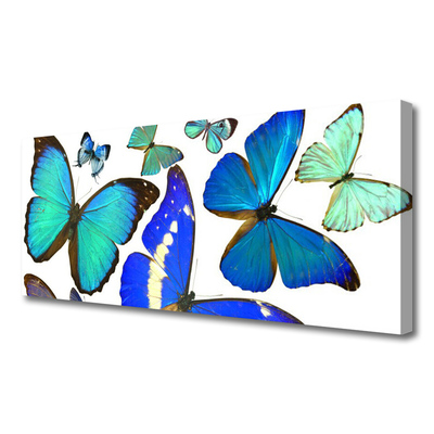 Obraz na plátne Motýle príroda