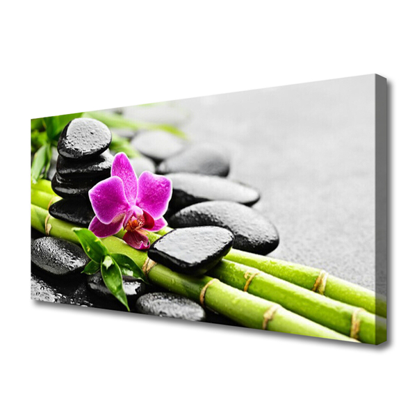 Obraz na plátne Bambus kvet kamene umenie