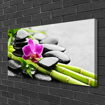 Obraz na plátne Bambus kvet kamene umenie
