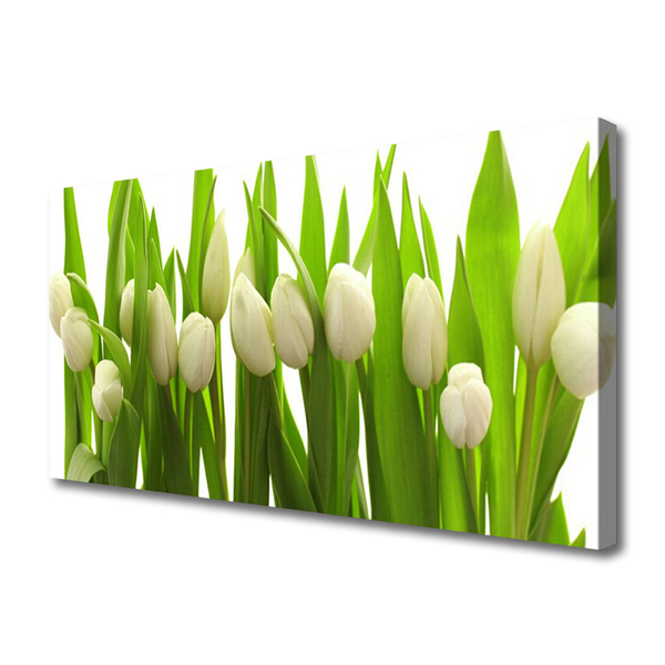 Obraz na plátne Tulipány kvety rastlina