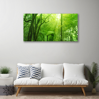 Obraz na plátne Stromy príroda