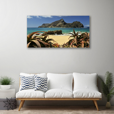 Obraz Canvas Pláž more skala príroda