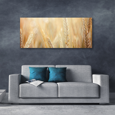 Obraz Canvas Pšenica rastlina príroda