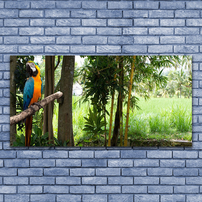 Obraz Canvas Papagáj stromy príroda