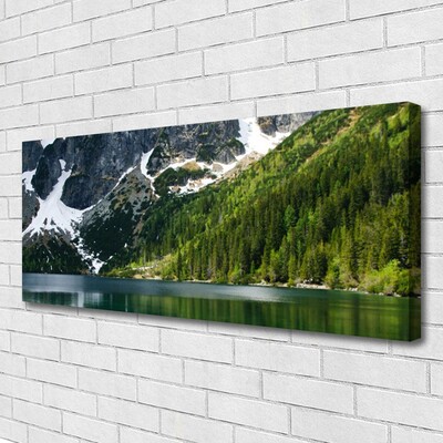 Obraz Canvas Jazero les hory príroda