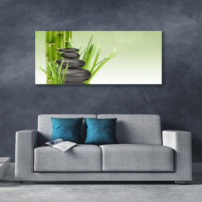 Obraz Canvas Bambus tráva rastlina príroda