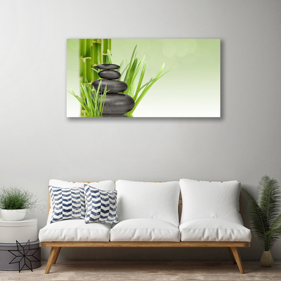 Obraz Canvas Bambus tráva rastlina príroda