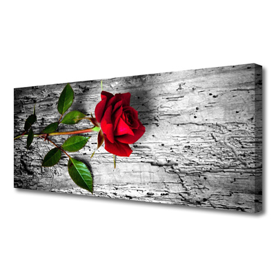 Obraz Canvas Ruže kvet rastlina