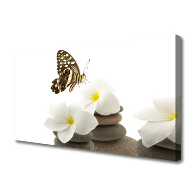 Obraz Canvas Motýľ kvet kamene rastlina