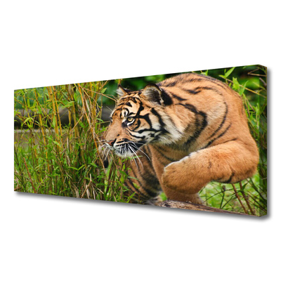 Obraz Canvas Tiger zvieratá