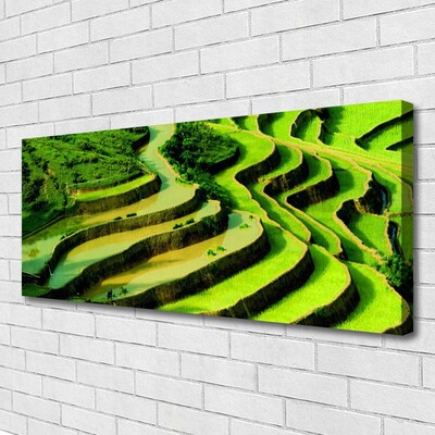 Obraz Canvas Pole ryža les umenie