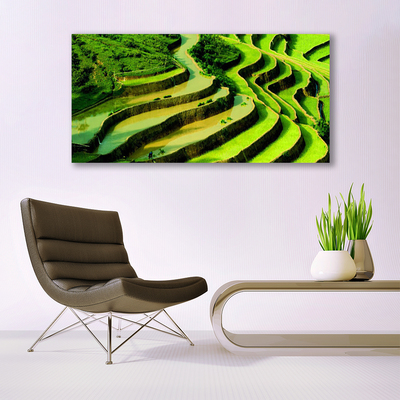 Obraz Canvas Pole ryža les umenie