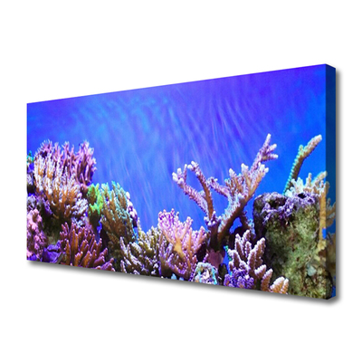 Obraz Canvas Koralový útes príroda