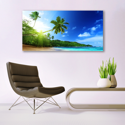 Obraz Canvas Pláž more palma krajina