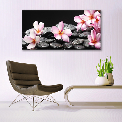 Obraz Canvas Kvet kamene rastlina