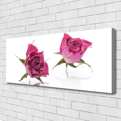 Obraz Canvas Ruže kvety rastlina