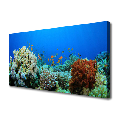 Obraz Canvas Koralový útes príroda