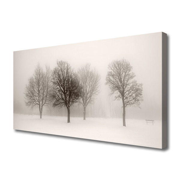 Obraz Canvas Sneh stromy príroda