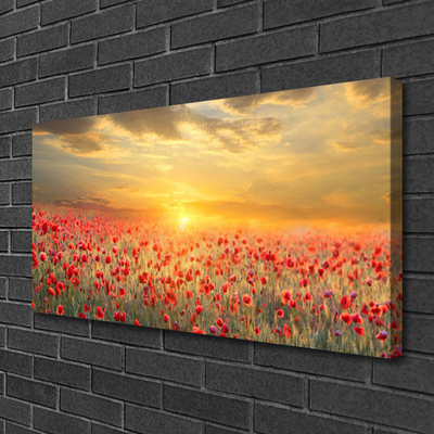 Obraz Canvas Slnko lúka mak kvety