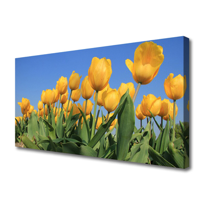 Obraz Canvas Tulipány kvety rastlina