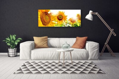 Obraz Canvas Slnečnica kvet rastlina