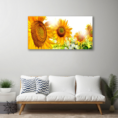 Obraz Canvas Slnečnica kvet rastlina
