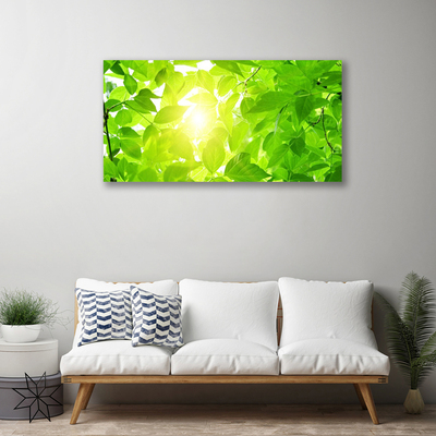 Obraz Canvas Listy príroda slnko rastlina