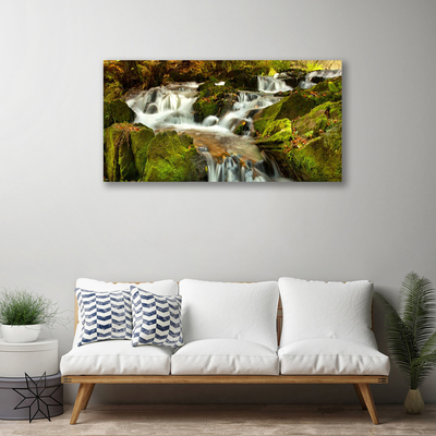 Obraz Canvas Vodopád skaly príroda