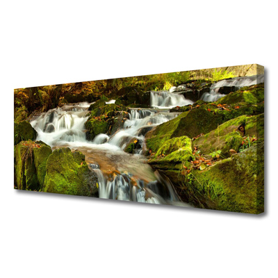 Obraz Canvas Vodopád skaly príroda