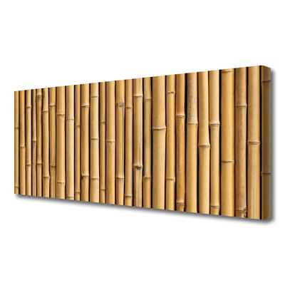 Obraz Canvas Bambus rastlina príroda
