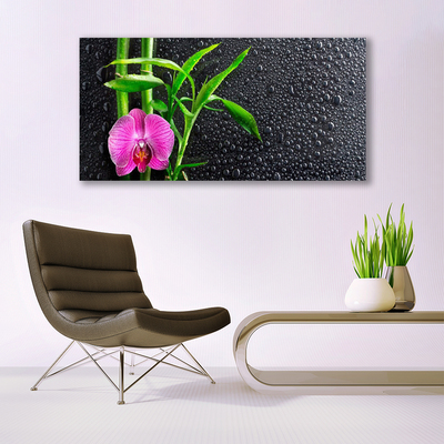 Obraz Canvas Bambus kvet kvapky