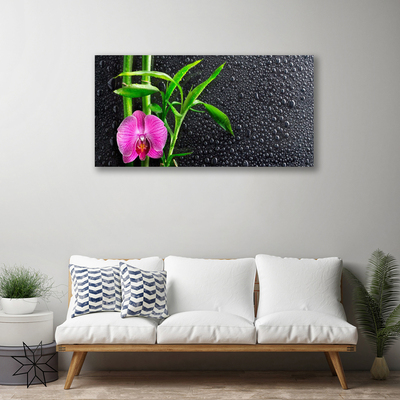 Obraz Canvas Bambus kvet kvapky