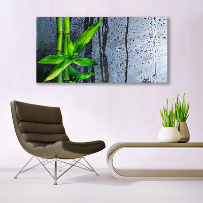 Obraz Canvas Bambus list rastlina príroda