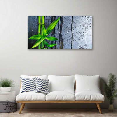 Obraz Canvas Bambus list rastlina príroda